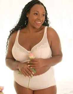 BH Sensla powder*SugarShape Discount