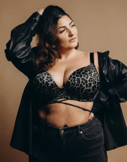 BH Voilà leogrey*SugarShape Sale